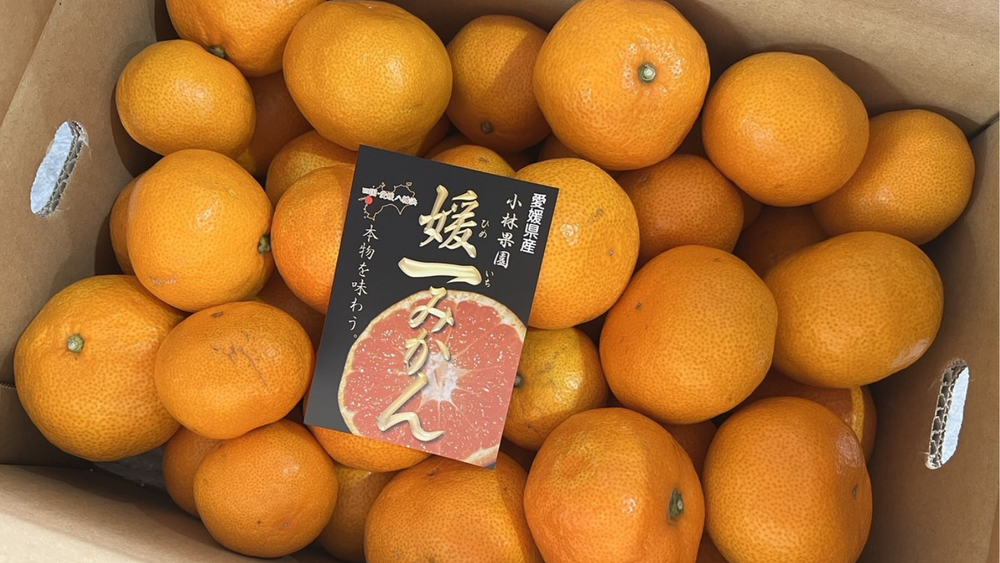 愛媛みかんギフトのお歳暮に関するよくあるご質問