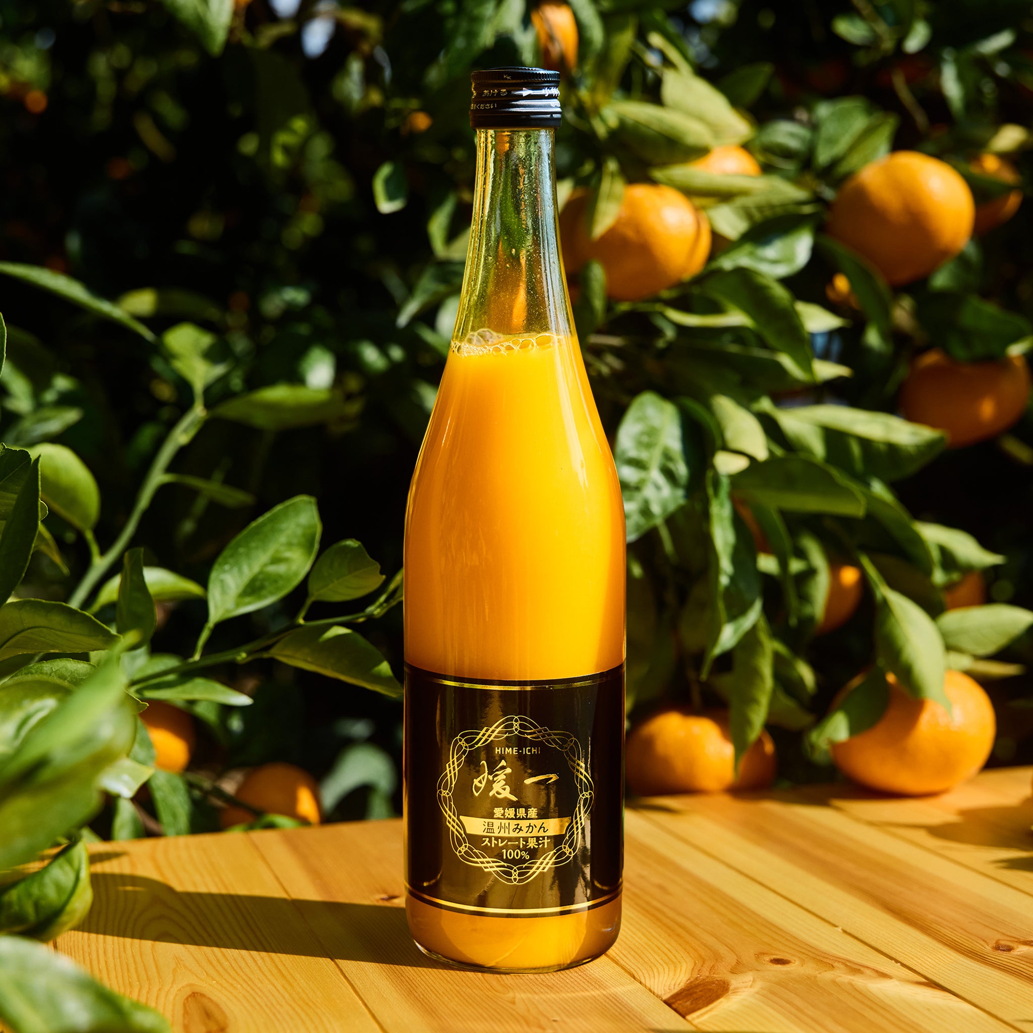 媛一みかんジュース 720ml×6本セット｜愛媛県西宇和産 100%ストレートジュース えひめ果実便