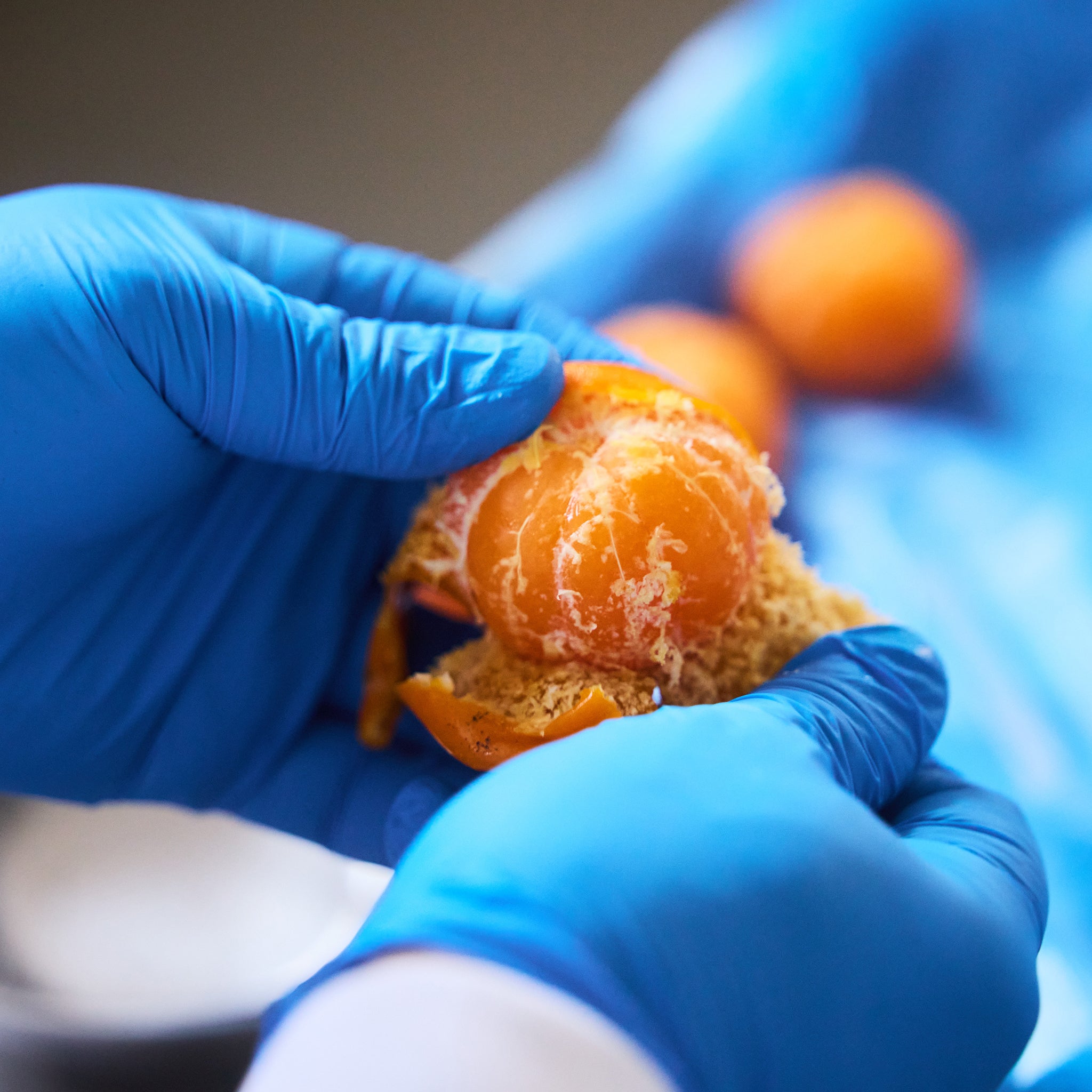 みかんの皮をむくシーン｜愛媛県西宇和産 えひめ果実便